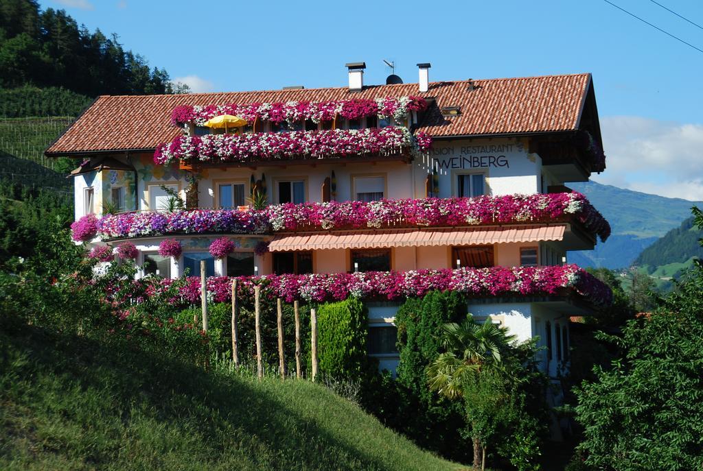Pension Weinberg ริเฟียโน ภายนอก รูปภาพ