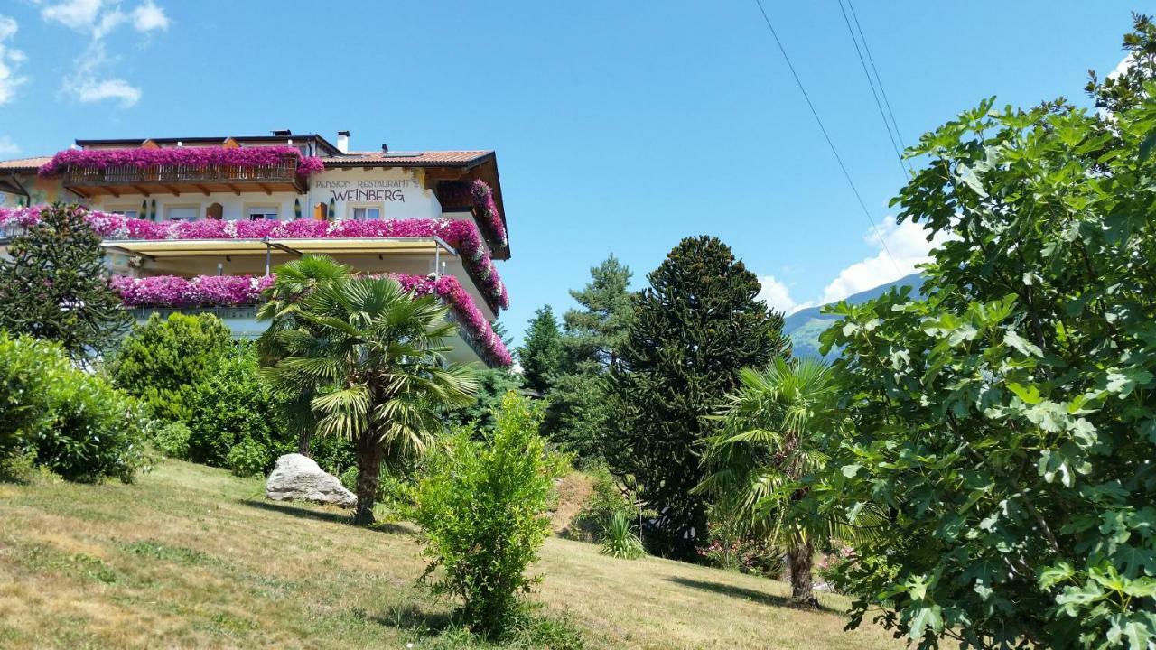 Pension Weinberg ริเฟียโน ภายนอก รูปภาพ