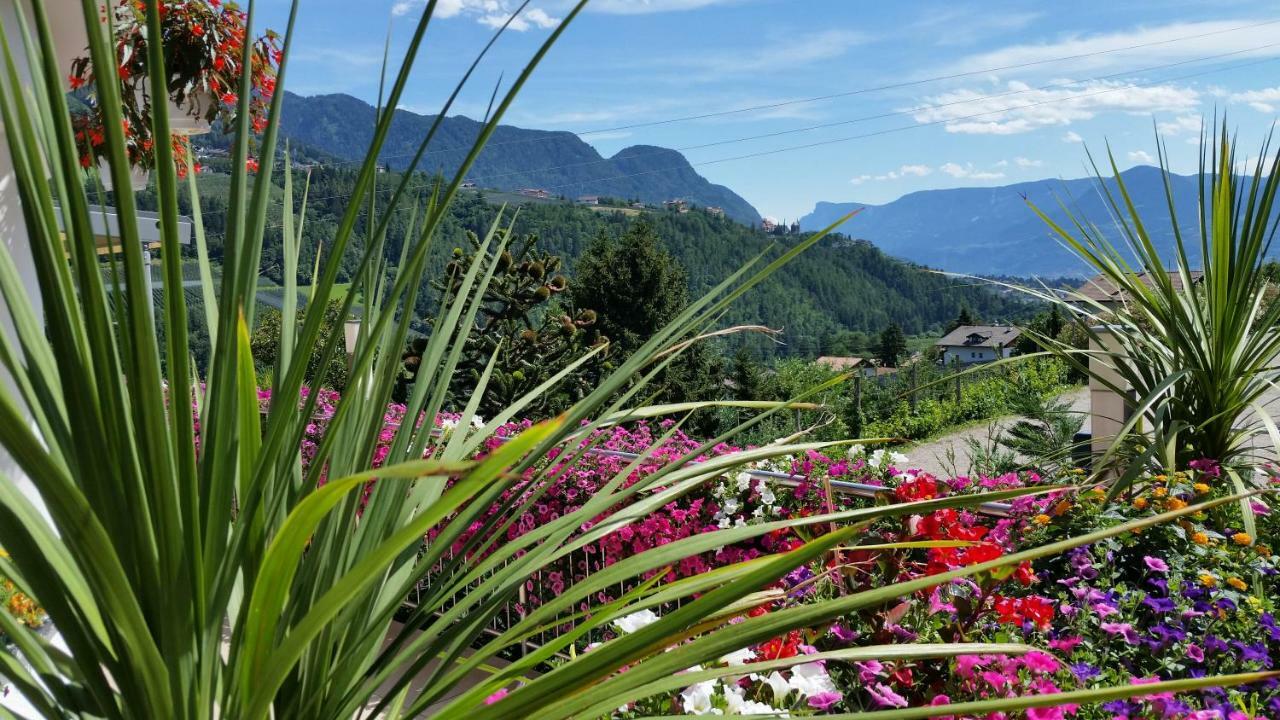 Pension Weinberg ริเฟียโน ภายนอก รูปภาพ